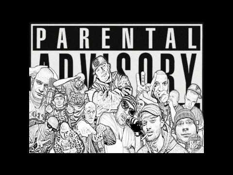 Geckohunter Nimwegen