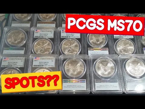 PCGS Graded MS70 Silver Eagles- SPOTS??