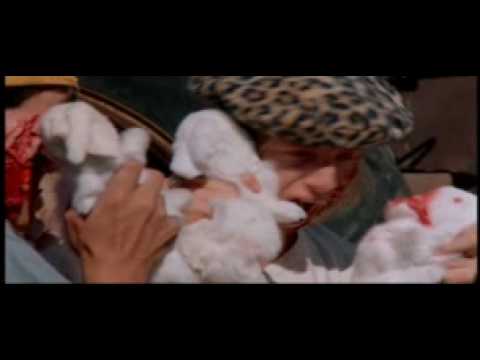 Summer School - Rabbits