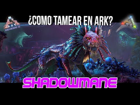 HOW TO TAME (AND BREED) THE #SHADOWMANE || Complete Guide [PC/PS4/XBOX ONE]