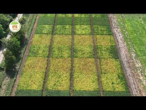 2023 Rastislavice 02 IPK agro