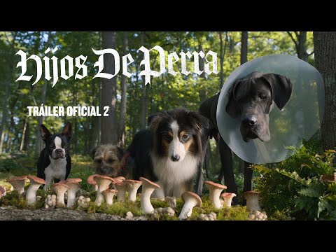Hijos de perra – Tráiler oficial 2