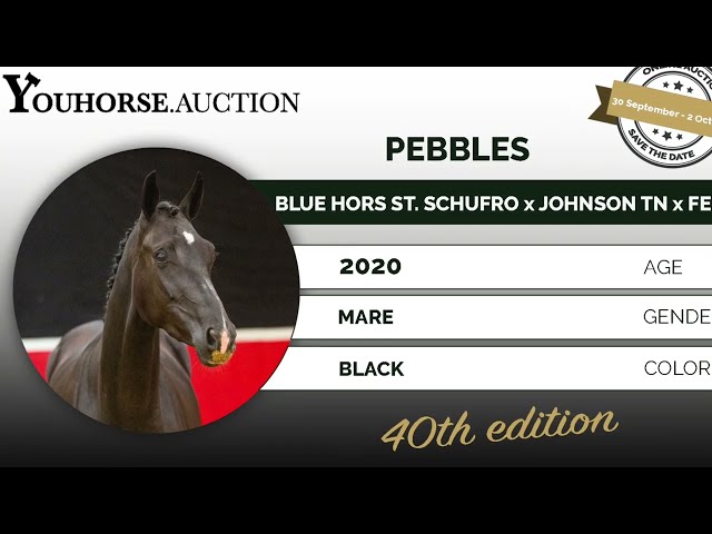 Pebbles