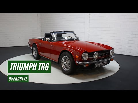 1976 Triumph TR6 (CC-1559085) for sale in Waalwijk, Noord-Brabant