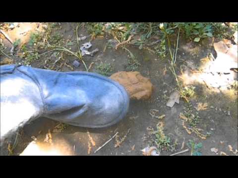 download lagu mp3 mp4 Close Encounters Of The Turd Kind, download lagu Close Encounters Of The Turd Kind gratis, unduh video klip Close Encounters Of The Turd Kind