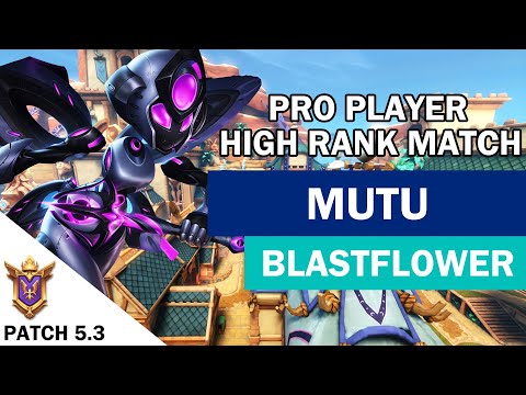High Elo Rank Mutu Willo Competitive (Pro Player) BLASTFLOWER