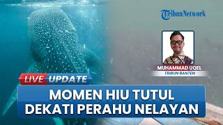 Tengah Melaut, Nelayan di Serang Terkejut Tiba-tiba Perahunya Dikelilingi 4 Hiu Tutul