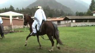 preview picture of video 'Viaje Peru Cuzco Ollantaytambo Finca Hotel Sol y Luna demostracion caballos de paso'