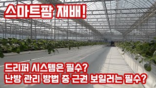 스마트팜 재배 기술!!! 근권 보일러!!! 드리퍼 관주 시스템을 남다른 활용 방법