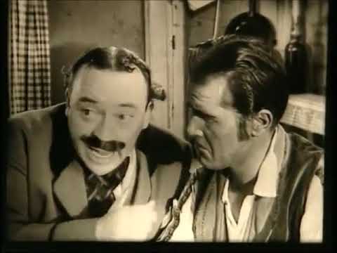 De avonturen van een zigeunerjongen