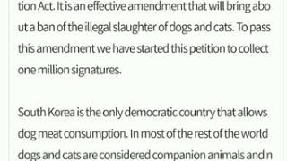 Please Sign to Help End the Dog Meat Trade in South Korea