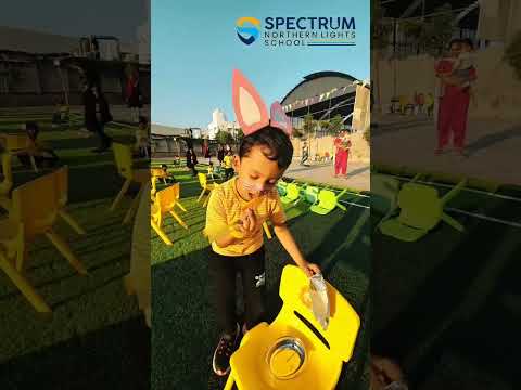 Spectrum Northern Lights School