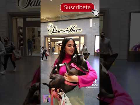 Los invito a suscribirse a mi canal | MITIKAH 🤑