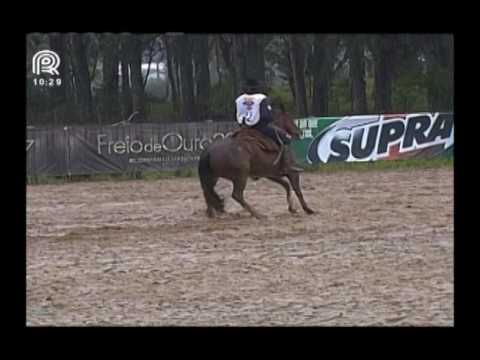 Norte RS – 4° lugar fêmeas – Adara da C Dois