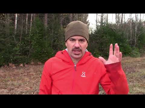 Verkkokalastusta 23.10.2022 + kauriin ruokinta + KaNu loukku.