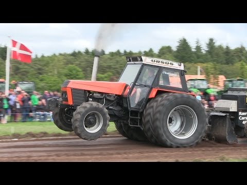 Ursus 1614 | Tractor Pulling Hjørring