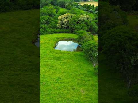 CHÁCARA LINDA A VENDA SANTA CATARINA RIO PASTO E MANGUEIRA PRO GADO R$270 MIL