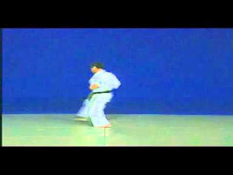 Fukazawa sensei - Niseishi