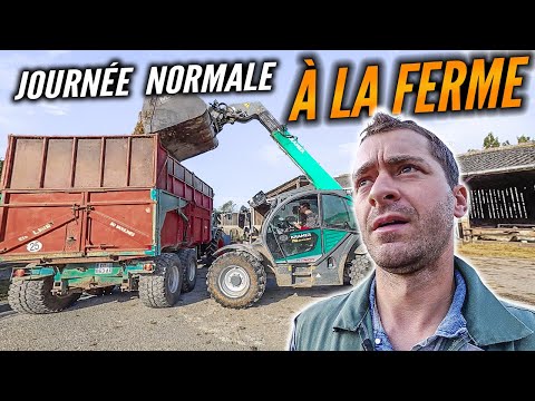 SILAGE PREPARATION, BREEDING, SLURRY AND AGRICULTURAL SCOOTER TESTING