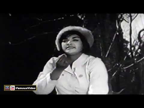 JADON VI KOYI PYAR KARAN DI HAMI - PAKISTANI FILM DUNIYA PAISAY DI