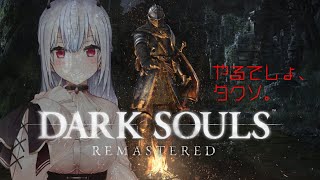 [Vtub] 葉加瀬冬雪 黑魂