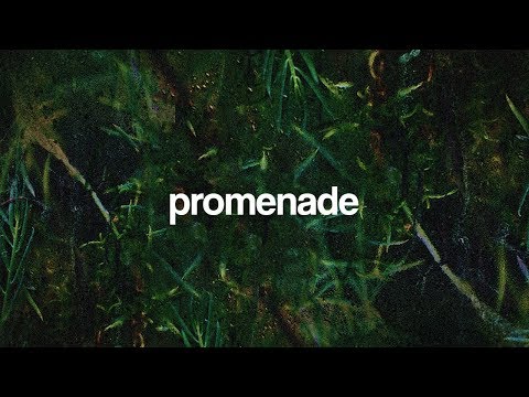 (FREE) Bryson Tiller x SZA Type Beat "Promenade"