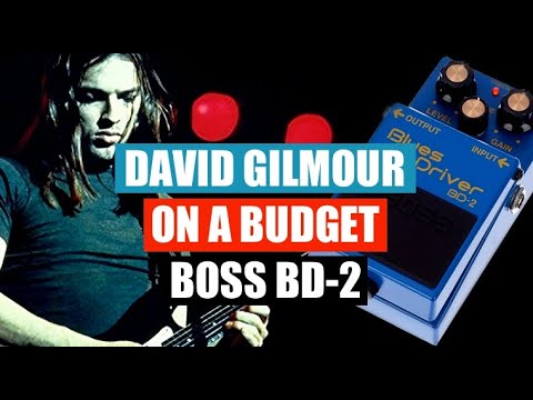 How to sound like David Gilmour on a budget - Boss BD-2
