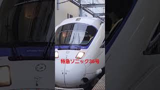特急 ソニック36号 #hololive #ホロライブ #ホロライブゲーマーズ #大神ミオ #ミオしゃ #鉄道 #特急ソニック #885系 #日豊本線 #特急列車 #大分駅 #警笛