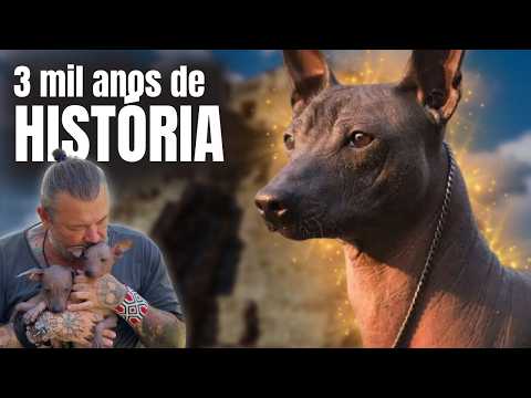 I MET THE XOLOITZCUINTLI: THE DOG BREED WITH OVER 3 THOUSAND YEARS OF HISTORY!