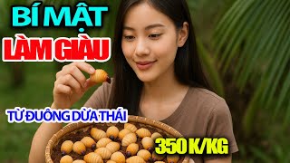 Revealing the Secret of Getting Rich from Thai Coconut Worms of a Central Highlands Brother/Dak L...