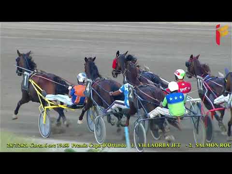 VI Corsa del 28 Luglio 2021   Metri 1600   5 Anni ed oltre II Tris