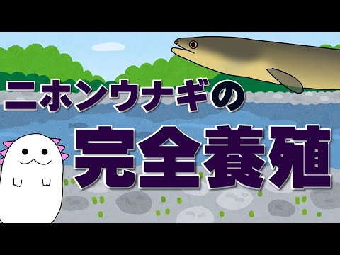 IUCN分類における絶滅の危険性を示す図。