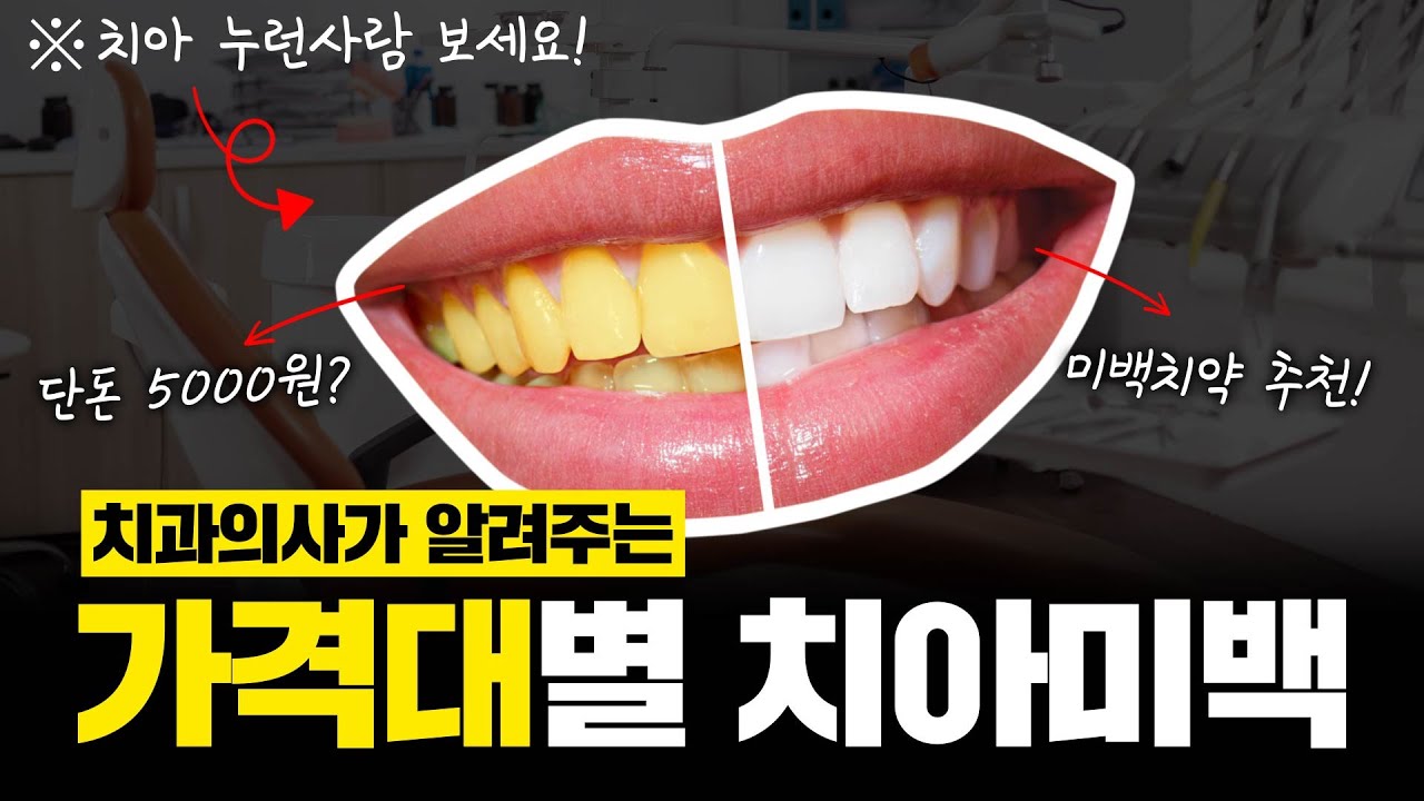 [유튜브 영상]