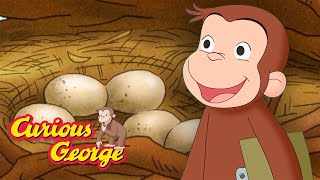 Who's Egg Is This? 🐵 Full Episodes | Curious George