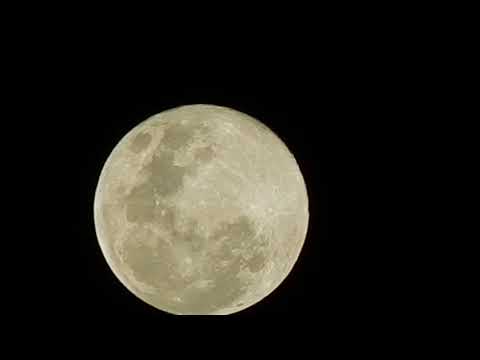 Full Moon of the Buddha