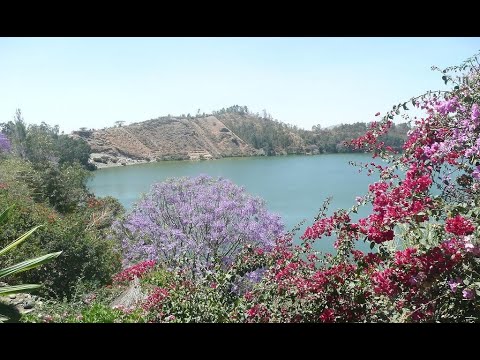 Journey Through Ethiopia - Babogaya Lake, Bishoftu