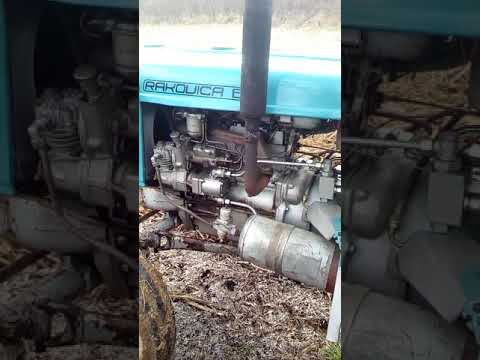 Rakovica 65 oranje 2021