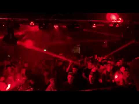 Neverdogs - Kaluki x Libero