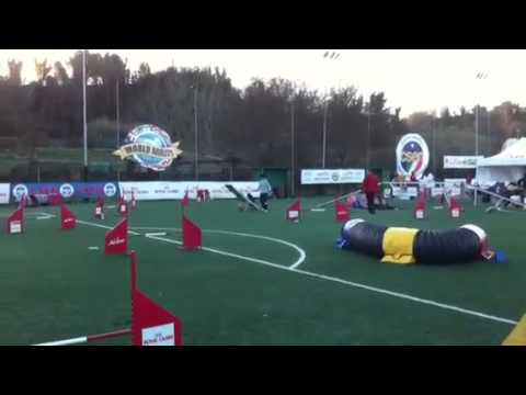 Martino AgilitY Roma finali csen