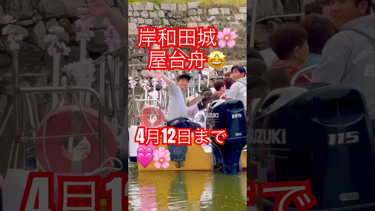 速報❗️🌸桜🩷屋台舟🤩岸和田城㊗️お堀遊覧🩷☝️😇👍🎉