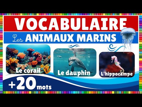 Vidéo 4