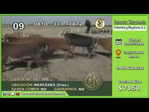 26-07-19 - Venta de Machos - Remate Televisado de Colombo y Magliano S.A. - Cap. Federal