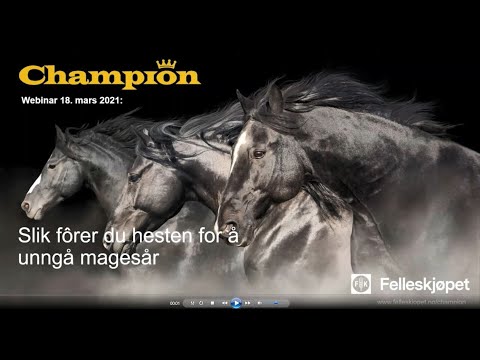 Champion webinar: Slik fôrer du hesten for å unngå magesår