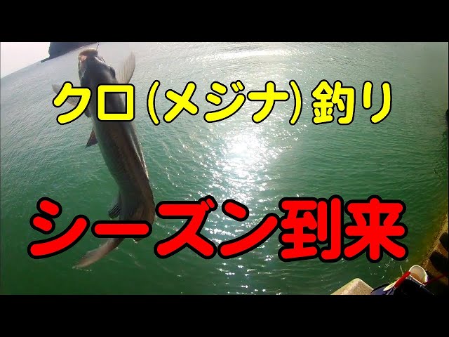 הגיית וידאו של クロ בשנת יפנית