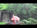 Animal Adventures