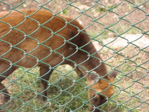 Simbalbara National Park | Wikipedia audio article