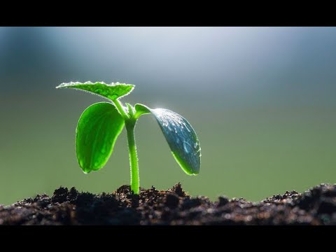 New Beginnings: Presented by Michigan Tech Music