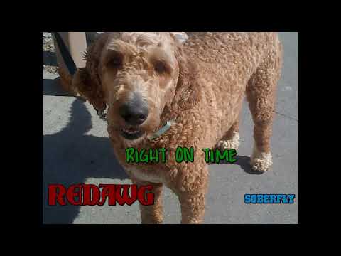 Right On Time ft/Redawg