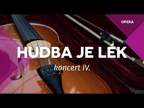 Hudba je lék – Divadlo J. K. Tyla uvádí cyklus komorních koncertů z jeviště Velkého divadla