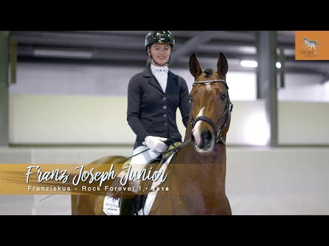 Franz Joseph Jr - *2016